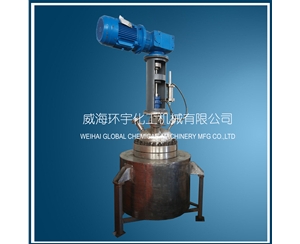 100L Low Temperature Reactor with Horizontal Motor